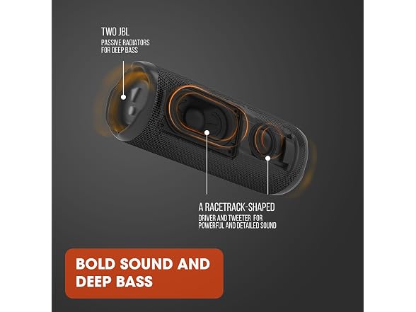 (NEW) JBL Flip 6 Portable IP67 Waterproof Speaker