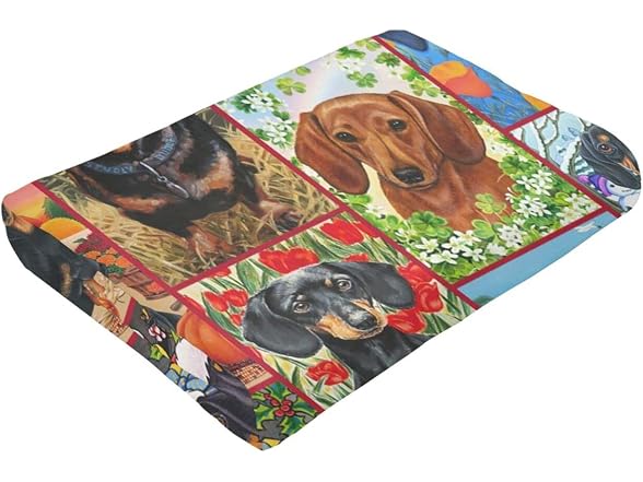zuxhvia Dachshund Blanket Dog Throw Blanket B