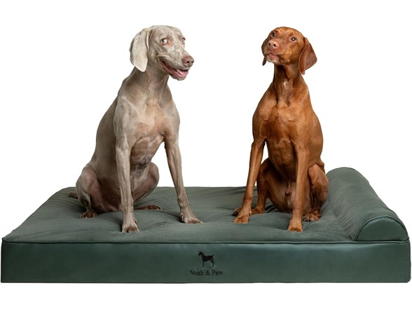 NOAH & PAW Orthopedic Dog Beds- XXLarge