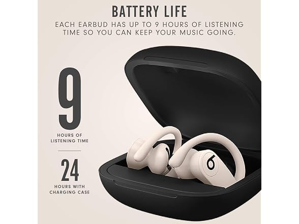 Beats Beats Powerbeats Pro Wireless Earbuds -