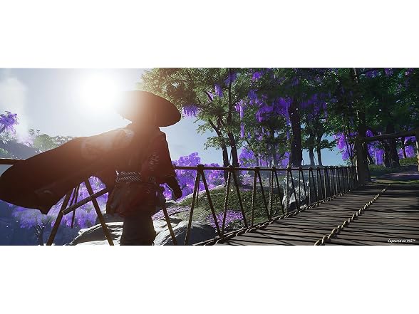 Ghost of Tsushima Director's Cut - Gallery 6