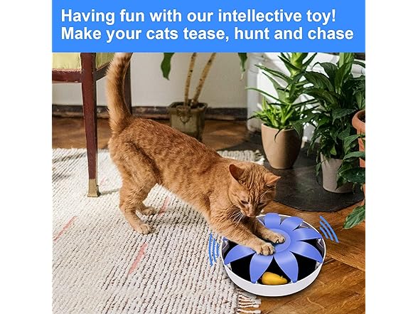 FluffyDream Automatic Electric Magnetic