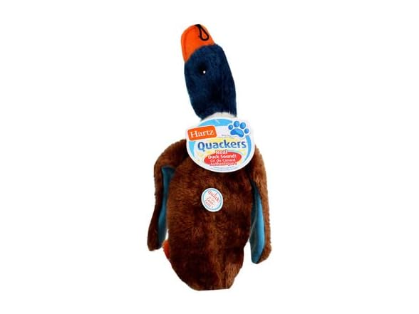 Hartz 05445 At Play Quackers Dog Toy Assorted
