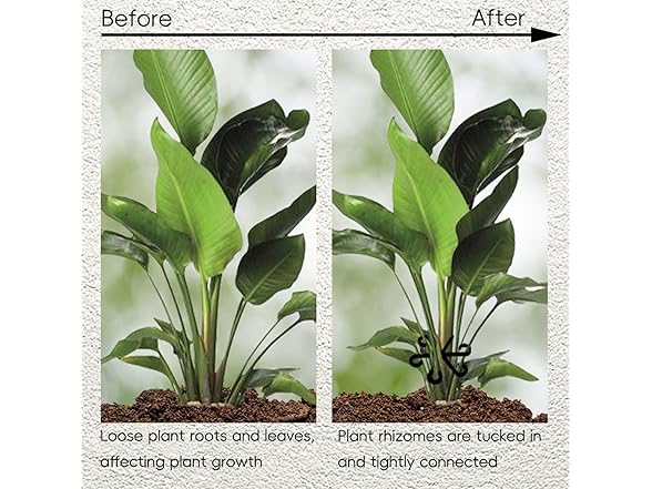 TENDAWYP 12Pcs Plant Stem Support