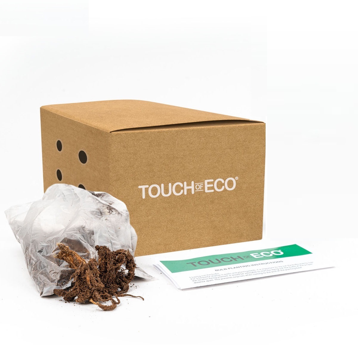 Persian Buttercups-15 Bulbs - Gallery 14