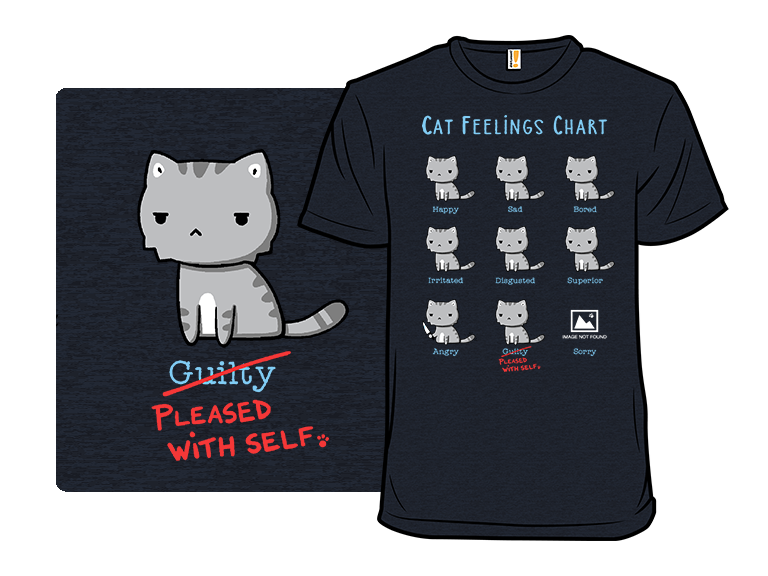 Cat Feelings Chart Remix