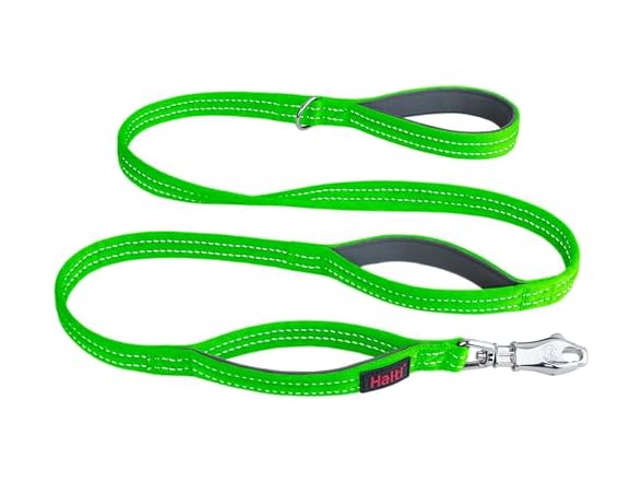 Halti BRIG Safety Dog Leash - Color-Coded Dog Leash