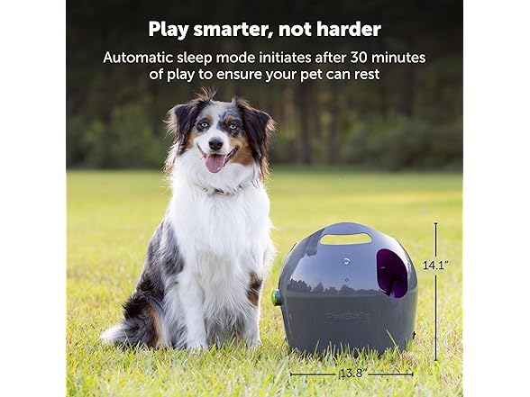 PetSafe Automatic Dog Ball Launcher