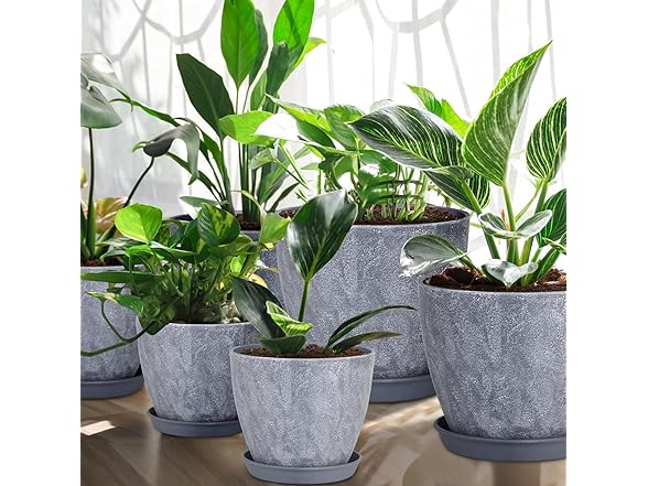 lokeisna Set of 8 Plastic Planter