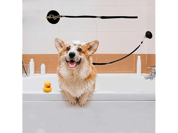 TaiyeHao 4 Pieces Dog Bathing Tether
