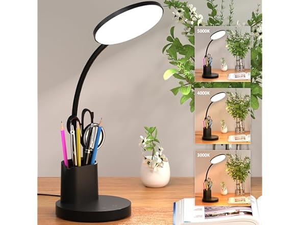 Vicsoon Desk Lamp