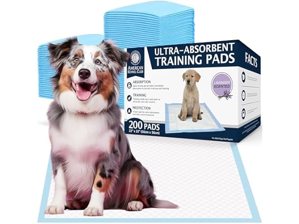 American Kennel Club Scented Puppy Training Pad