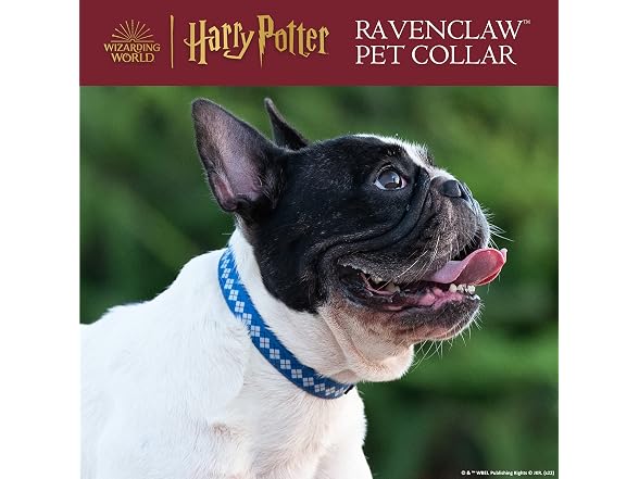 Harry Potter Ravenclaw Dog Collar - Adjustabl