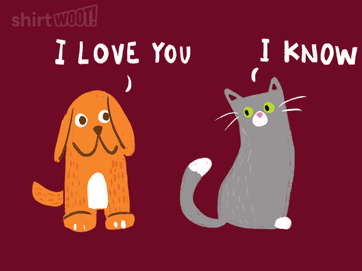 Dog Loves Cat and Cat Knows - Gallery 4