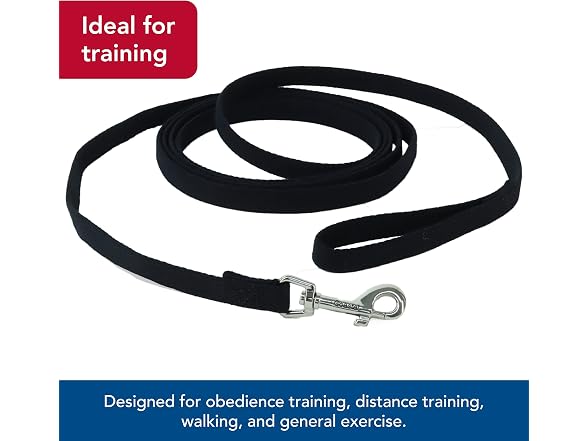 Coastal Pet Train Right Cotton Web Dog Traini