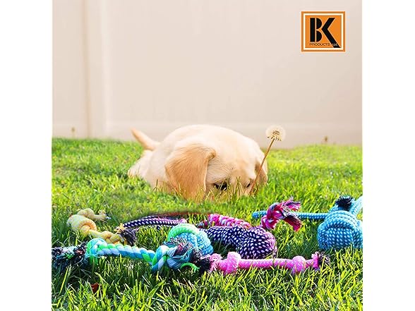 BK PRODUCTS LLC 7 Dog Chew Toys Made
