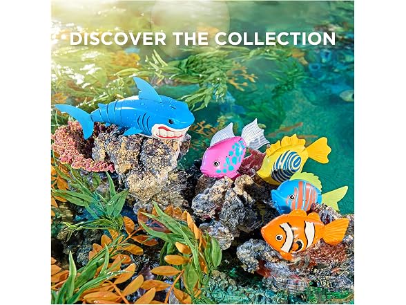 SwimWays Rainbow Reef Shark Toy