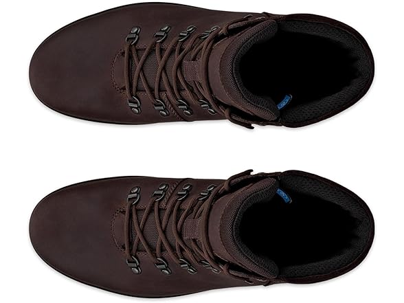 ECCO Men's Rugged Track Plain Toe 