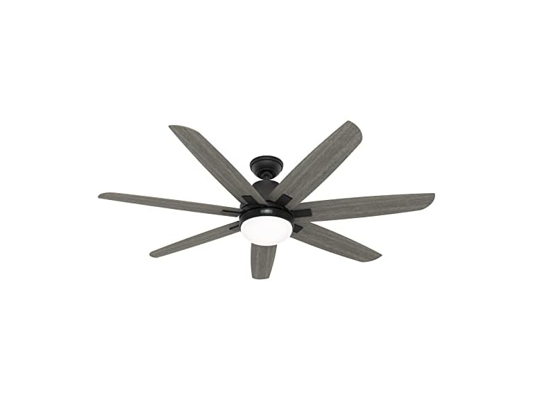Hunter Fan 60" w/ Light Kit and 7-Blades