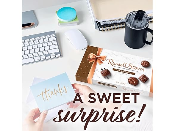 Russell Stover Milk Choc Assortment 9.4o