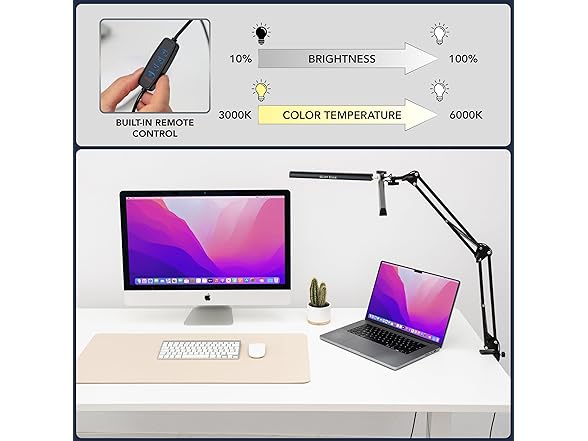 Glint Edge Double Head LED Desk Lamp