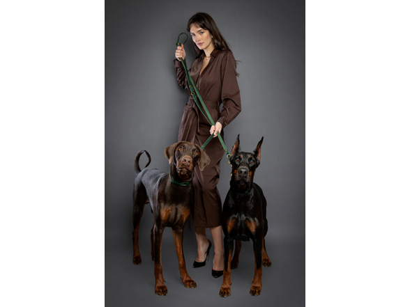 NOAH & PAW Leather Dog Leash 8Ft