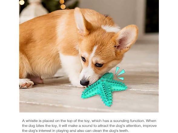 DotPet Dog Chew Toys for Aggressive Chewers, 