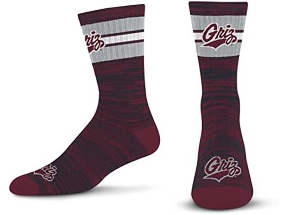 Montana Grizzlies