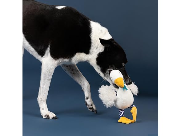 Fringe Studio Goose on the Loose! Plush Dog Toy