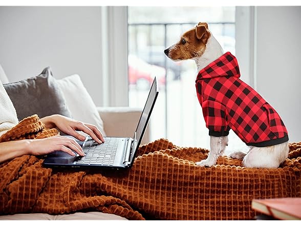 Stpiatue Dog Sweater Red Buffalo Plaid