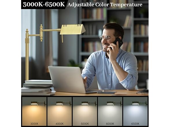 Bairth Light Gold Reading Floor Lamp