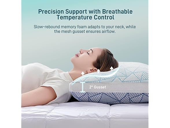 Sylvaris Memory Foam Pillows 2 Pack Queen