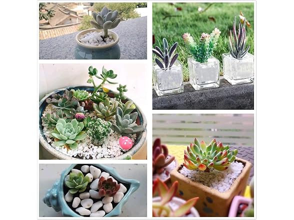 Decorative Outdoor White Pebbles