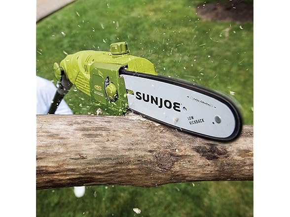 Sun Joe SWJ803E 10 inch 8.0 Amp Electric