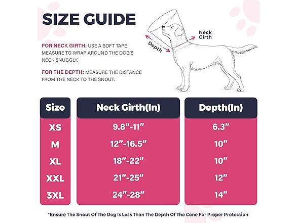 Ejona's furryfamily Dog Cone Collar