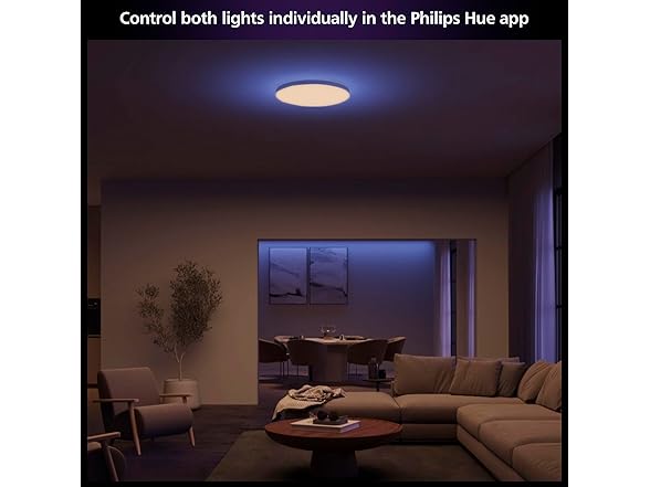 Philips Hue Datura Smart Ceiling Panel 2.49" x 15.12"