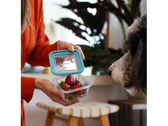 Bormioli Rocco 14.25 oz. Square  Glass  Storage Container 12CT