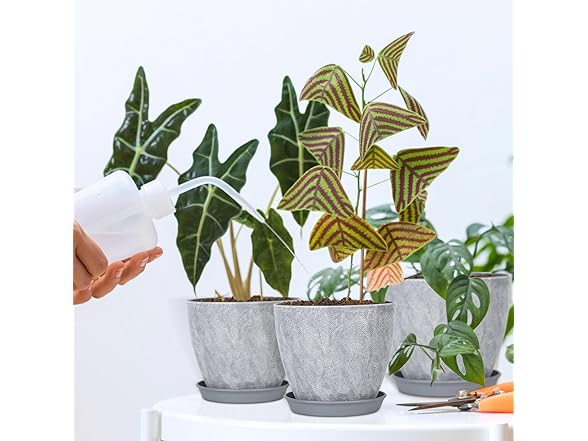 lokeisna Set of 8 Plastic Planter