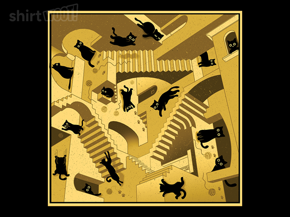 Relativity Cats