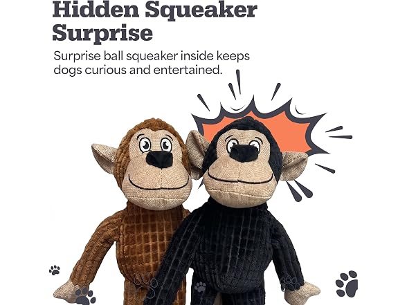 Bow Wow Pet 2 Pack Plush Dog Toy with Squeaker & Crinkle
