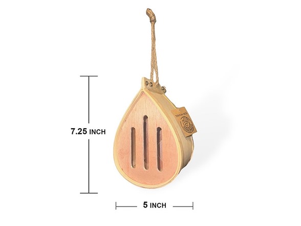 Pollinating Palaces-Trio Pack - Gallery 12