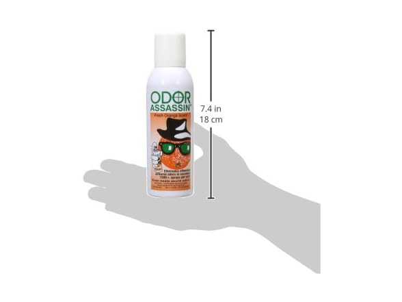 JAY MANUFACTURING 17061 Odor Eliminator, 6-Ou