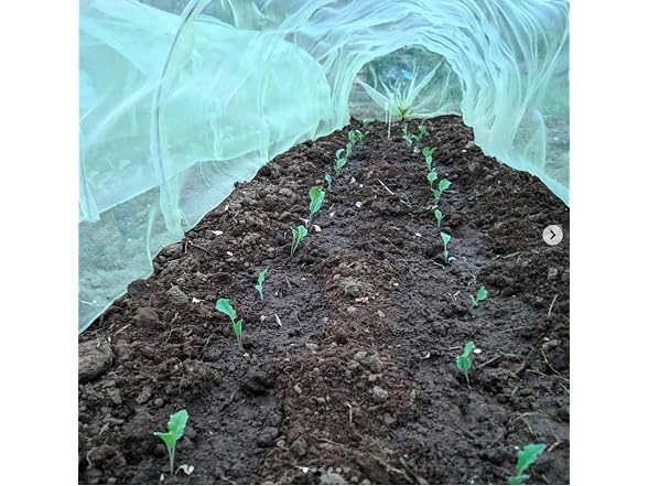 Tierra Garden Haxnicks Easy Micromesh
