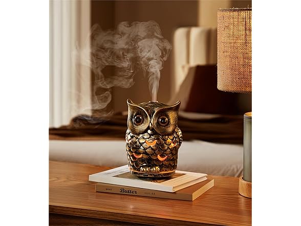 ALIEYE Owl Essential Oils Diffuser, Cer