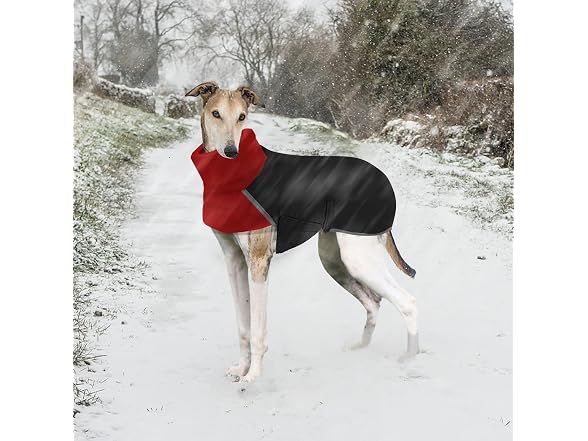 Greyhound Winter Coat, Dog Jacket Waterproof