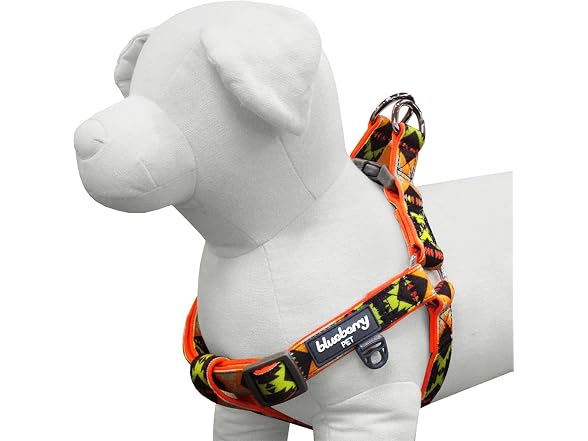 Blueberry Pet 2 Clr Soft & Comfy Step-in Sou