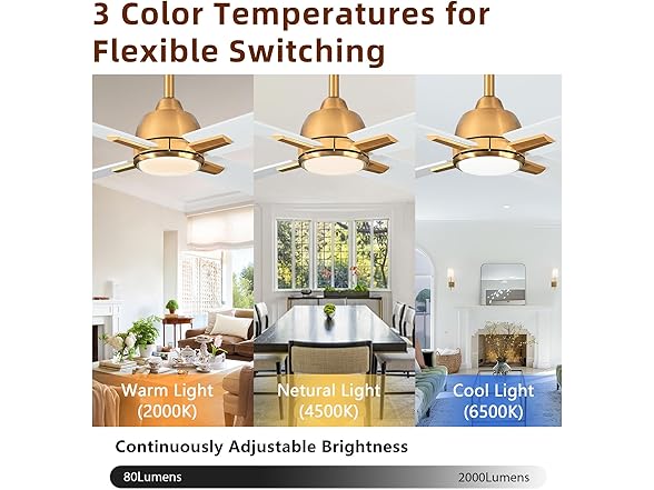 Parrot Uncle F6313110V 48" Ceiling Fan, White Gold