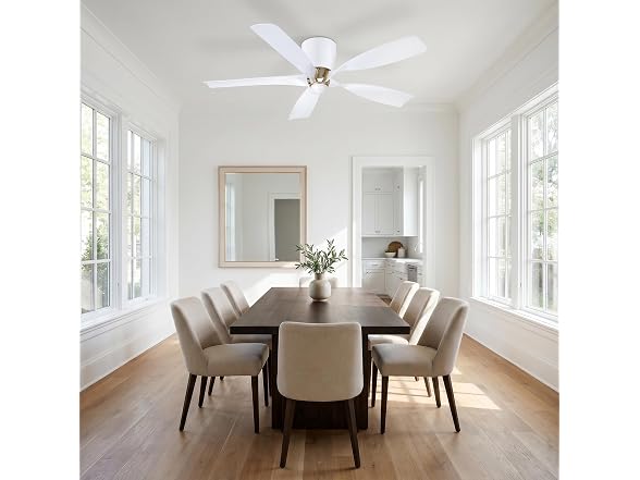 Parrot Uncle 52 Inch Ceiling Fan Modern without Light