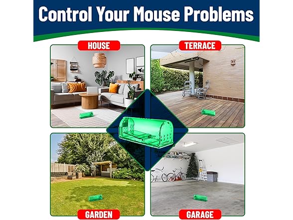 Campior Humane Mouse Trap for House