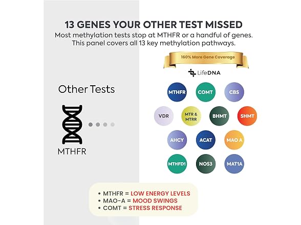 LifeDNA Starter DNA Test Kit, 13 Methylation